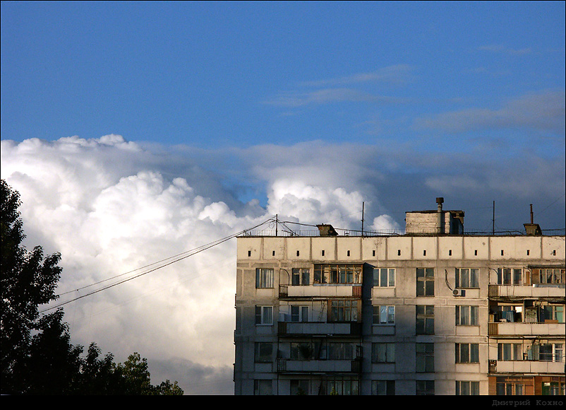 Без названия 1