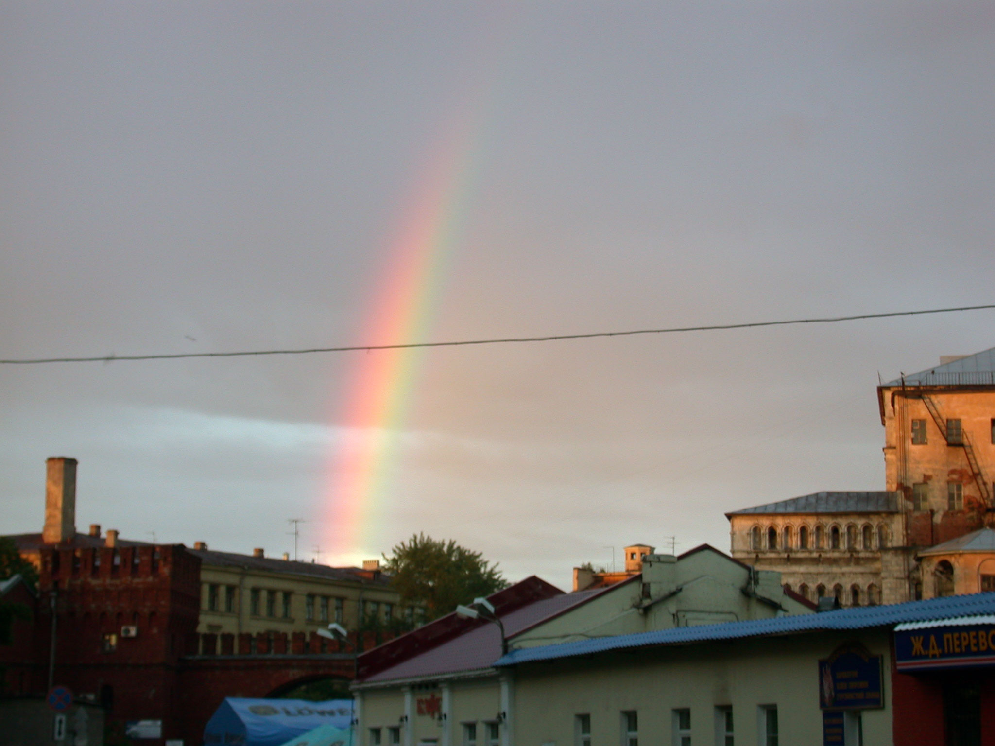 Summer In The City