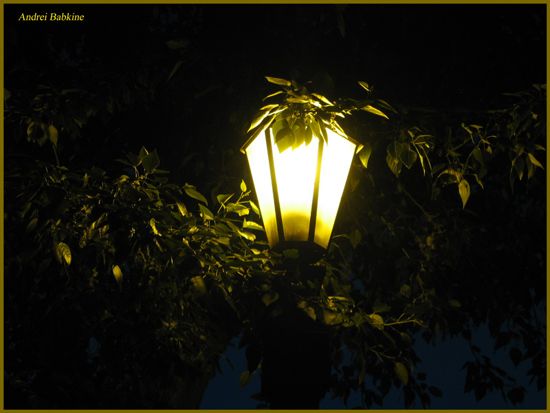 The magic lantern