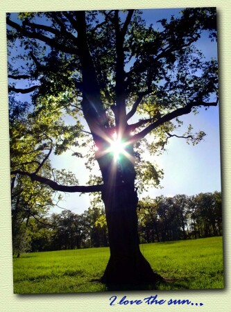 I love the sun...