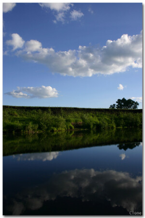 отражение реальности