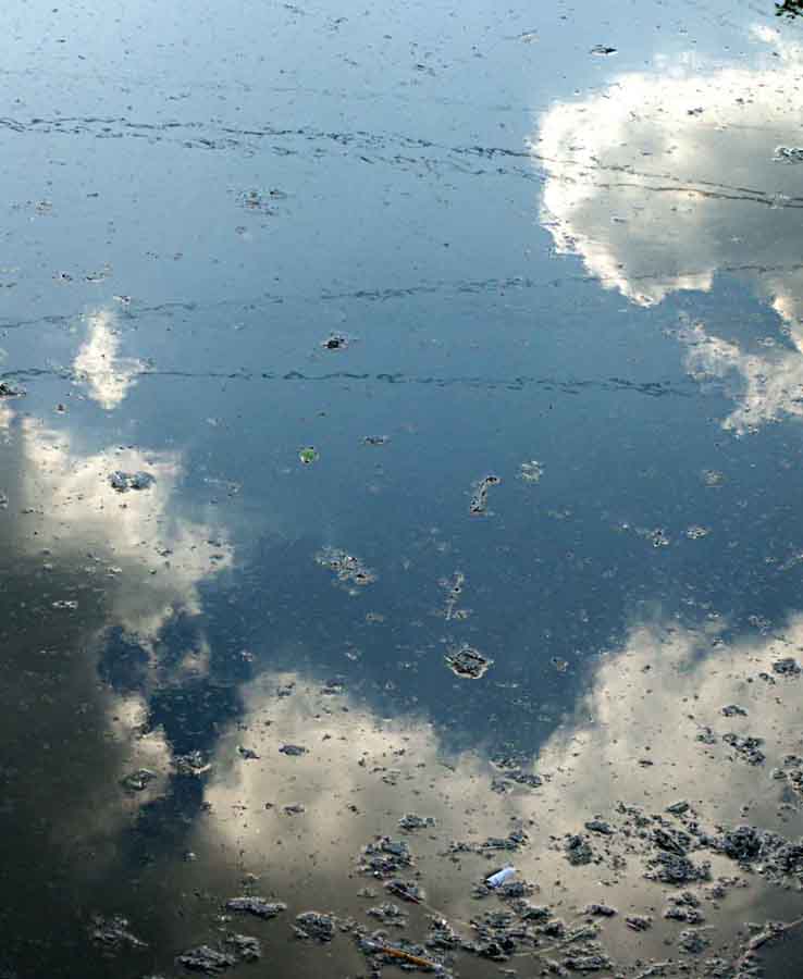 в воде