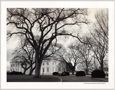 "WHITE HOUSE" WASHINGTON