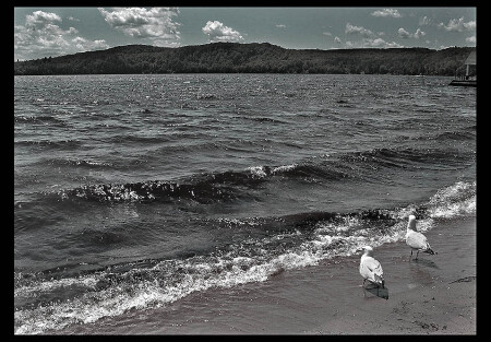 Чайка ходит по песку, моряку сулит тоску