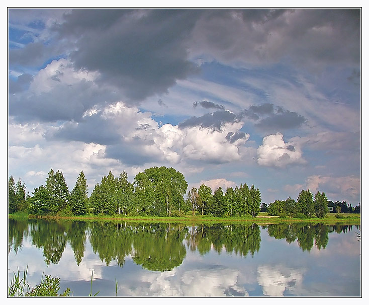 Прибалтийская природа