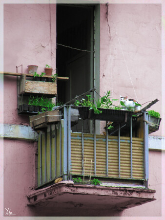 балкон на розовом