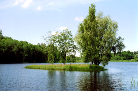 Родная сторона.
