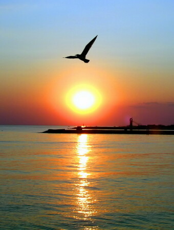 Игра заката