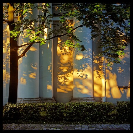 Вечерний свет