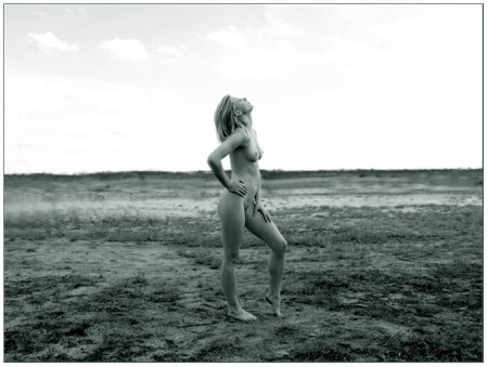 Antalis Queen of desert