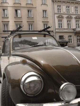 Urban Bug