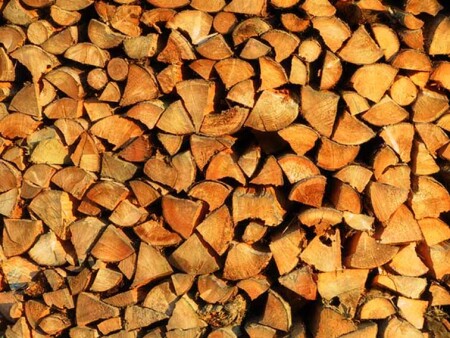 Семенной фонд папы Карло