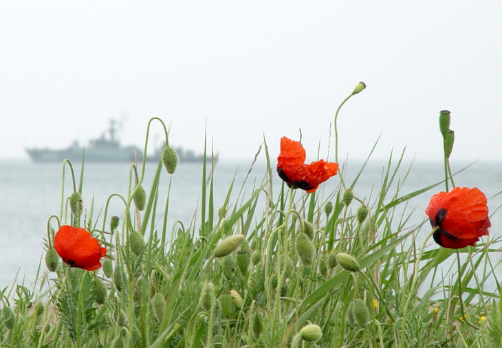 Военно-морские мотивы