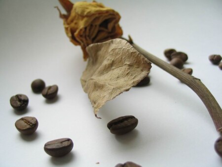 сопровождение