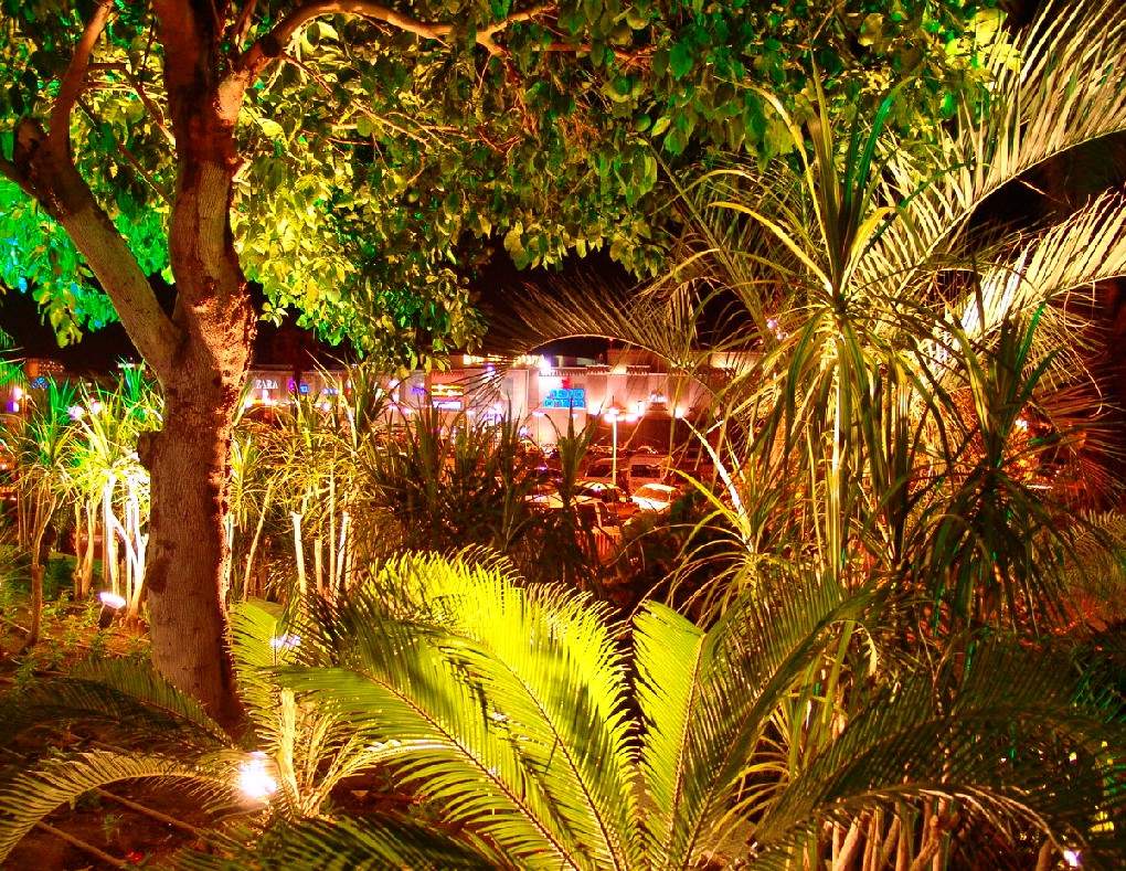Eilat. Ночь - везде светло