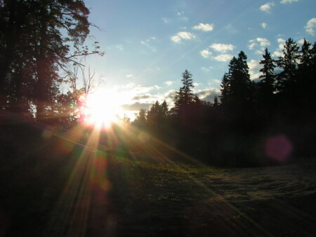 Вечер на парнасе