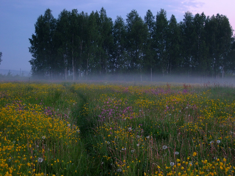 Самые короткие ночи