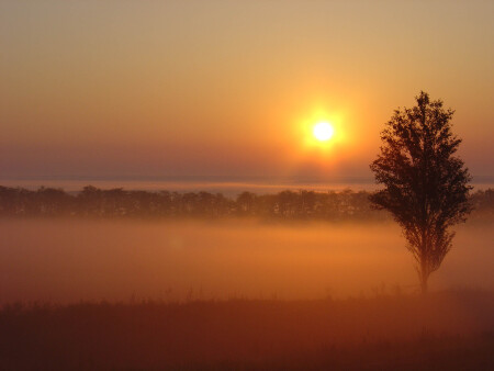 оранжевый туман над нами проплывает