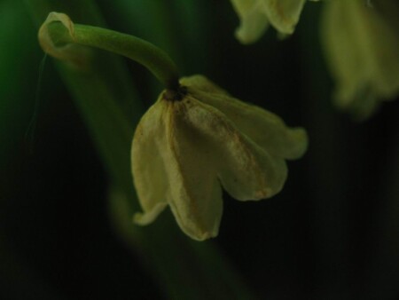 один впереди