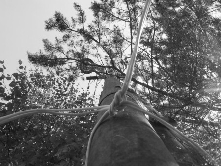 непонять (2)