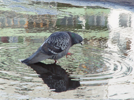 В отражении...