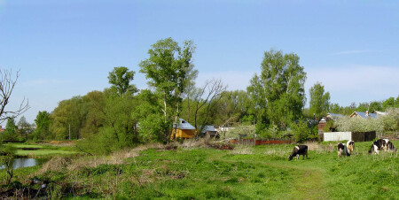 За околицей