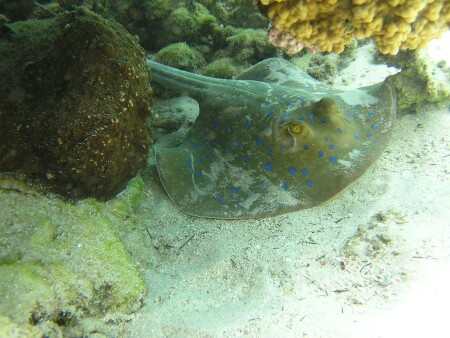 Расплавались тут...