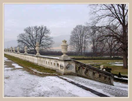 Сон старого парка