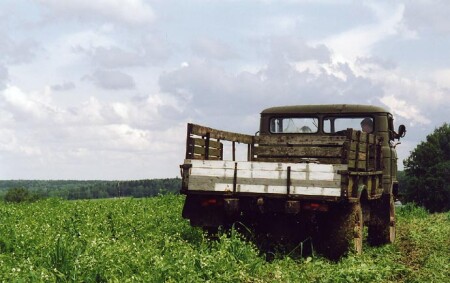 для Timi