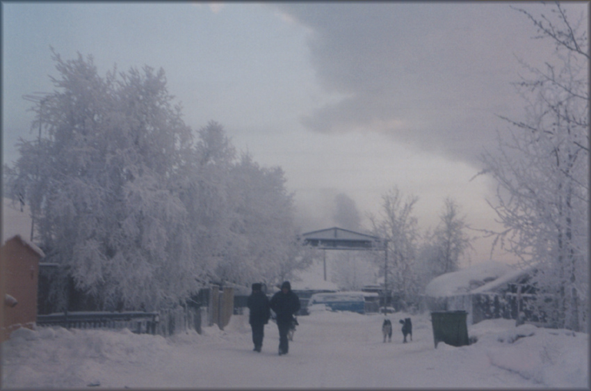 Морозное утро