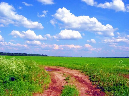 Дорога в облака