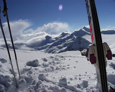 Да ну Вас, Штирлиц, с Вашими лыжами... (Пастер Шлак)