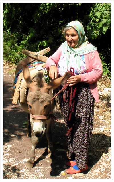 Бабуля с ослом