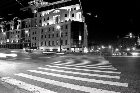 Зебра