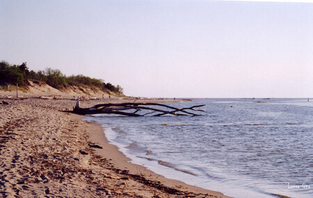 Отдых на морском побережье