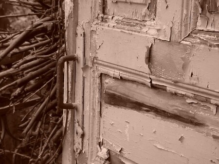 ДВЕРЬ В ПРОШЛОЕ