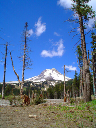 Mount Hood.