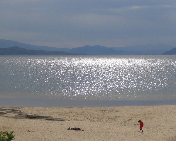 Блики