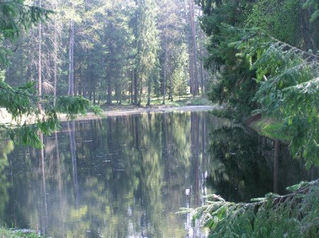 Пушкинские горы