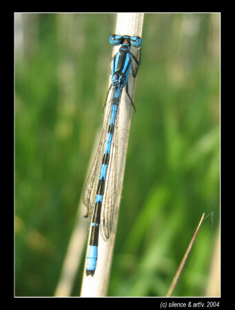 хочешь похудеть - спроси меня как ;)