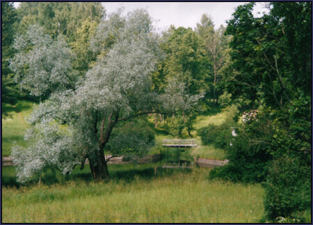 Мостик