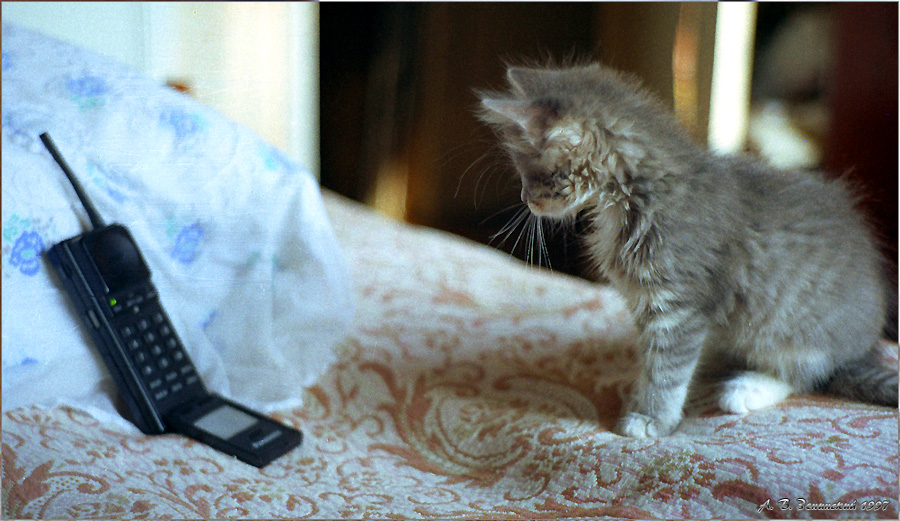 Так ты не мышь??? А что пищишь?...:)