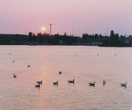 Море (1) - розовое.