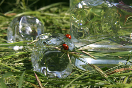 Жажда не тетка