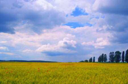 Где-то там идет дождь