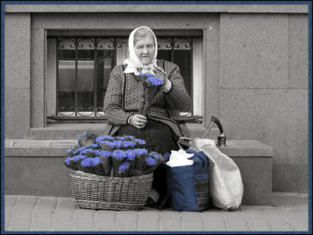 Синие Цветы