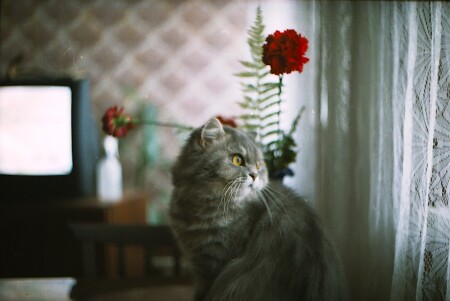 Непоколебимое спокойствие...