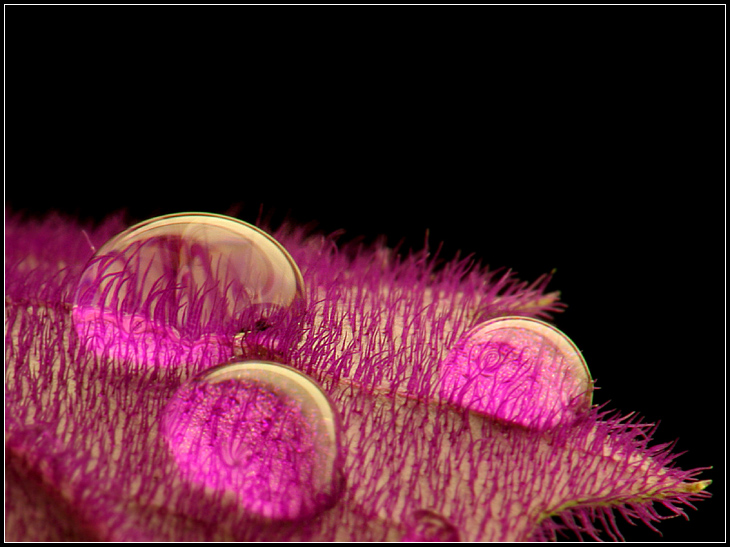 Surface tension