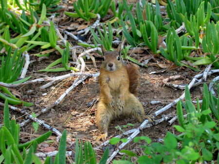 Ой, кто здесь?!