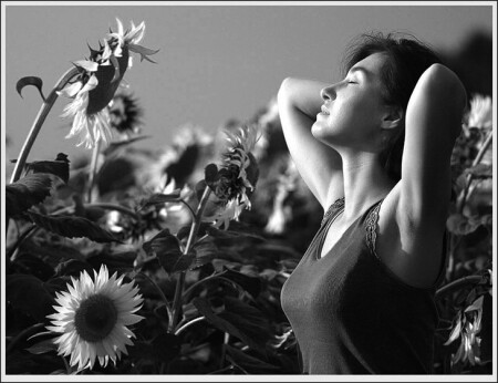 Looking For The Summer